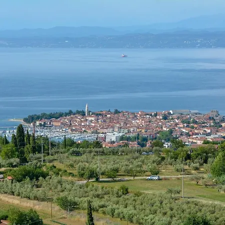 Viler Izola
