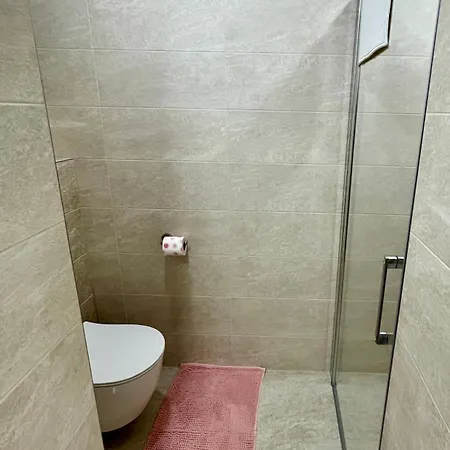 Διαμέρισμα Viler *